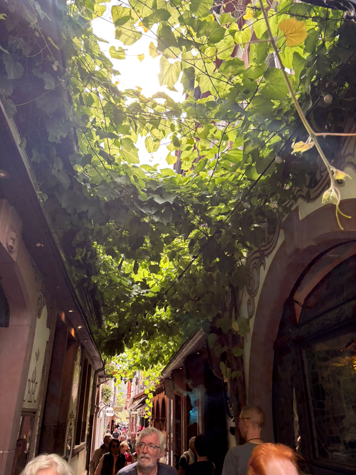Drosselgasse